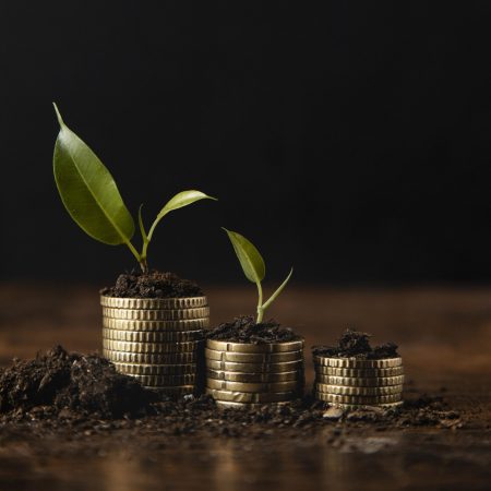 front-view-stacked-coins-with-dirt-plant