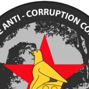 zacc_zacc_zacc_zacc-zacc_zacc-1